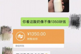 日照专业讨债公司有哪些核心服务？